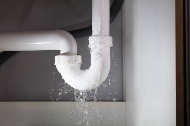 Kitchen sink evidence used in the public sample repair report